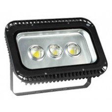 LED FLOOD LIGHT (IFL06 SERIES)